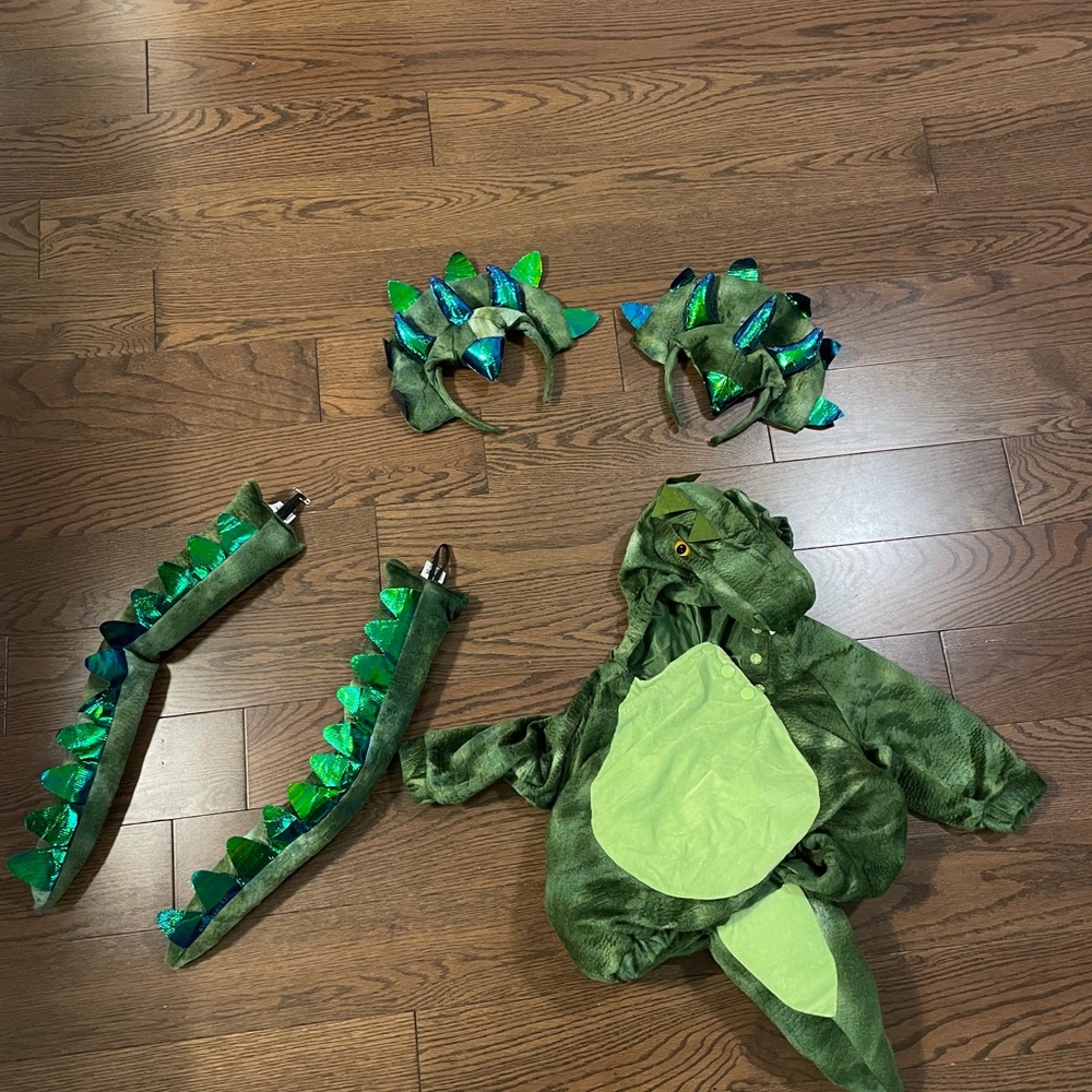 Dinosaur Costume for Family